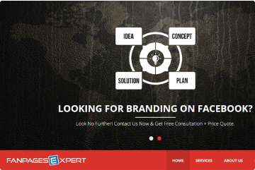 fan page expert