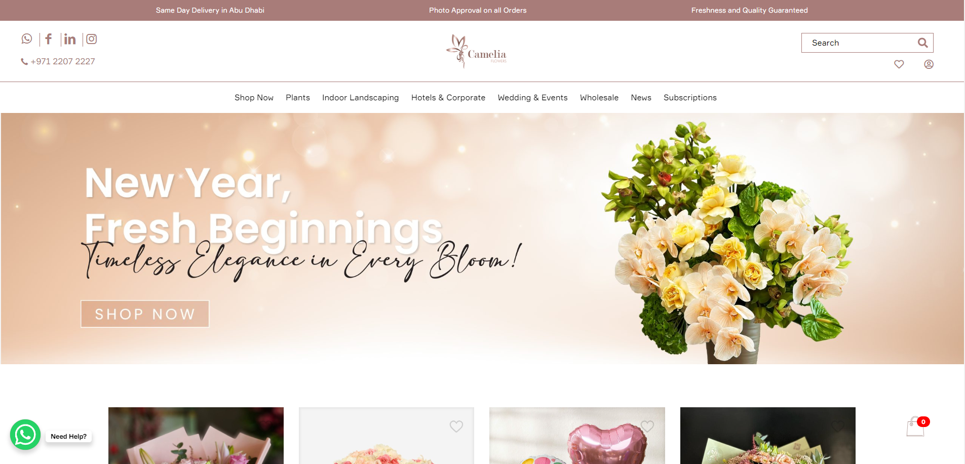 Camelia Flowers