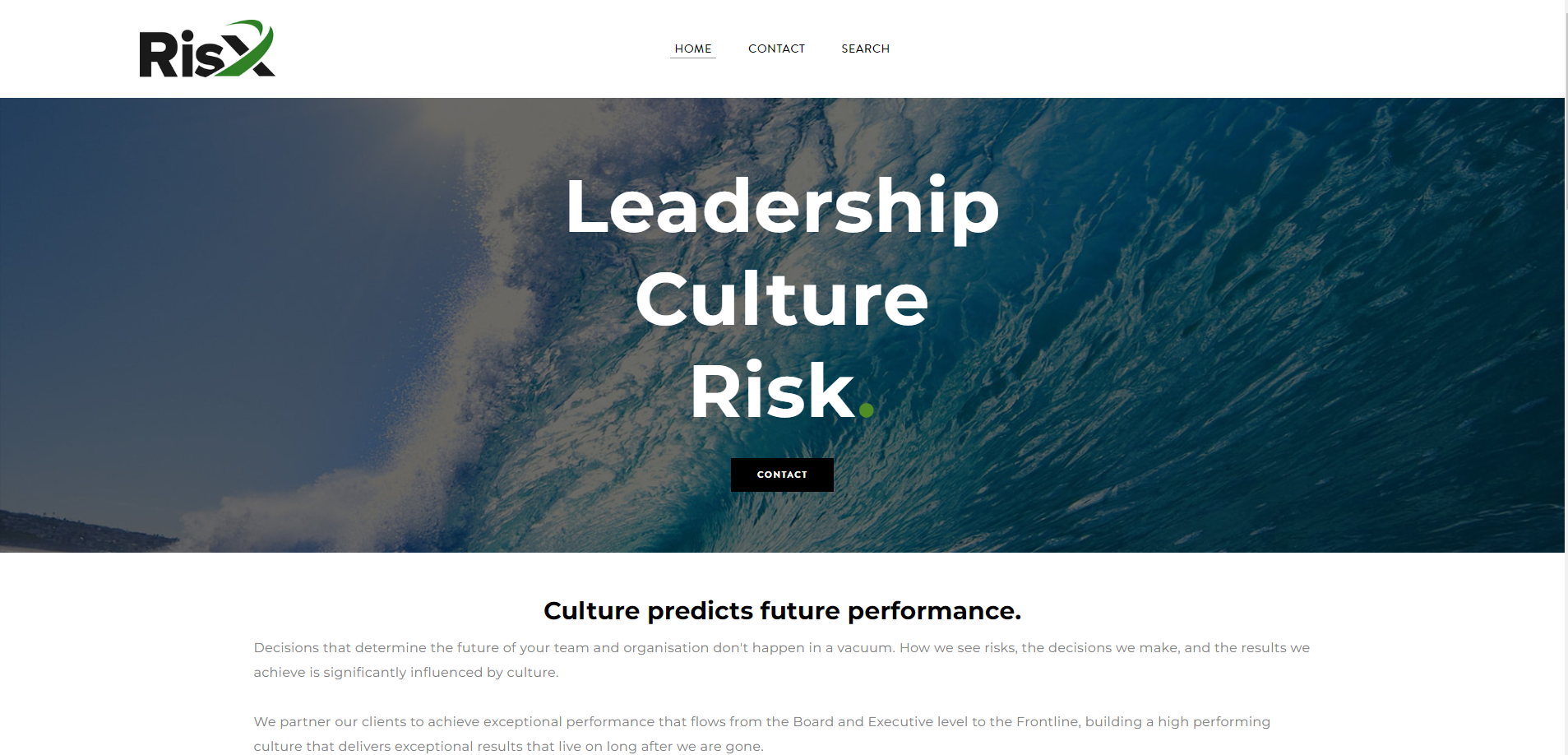 RisX Group